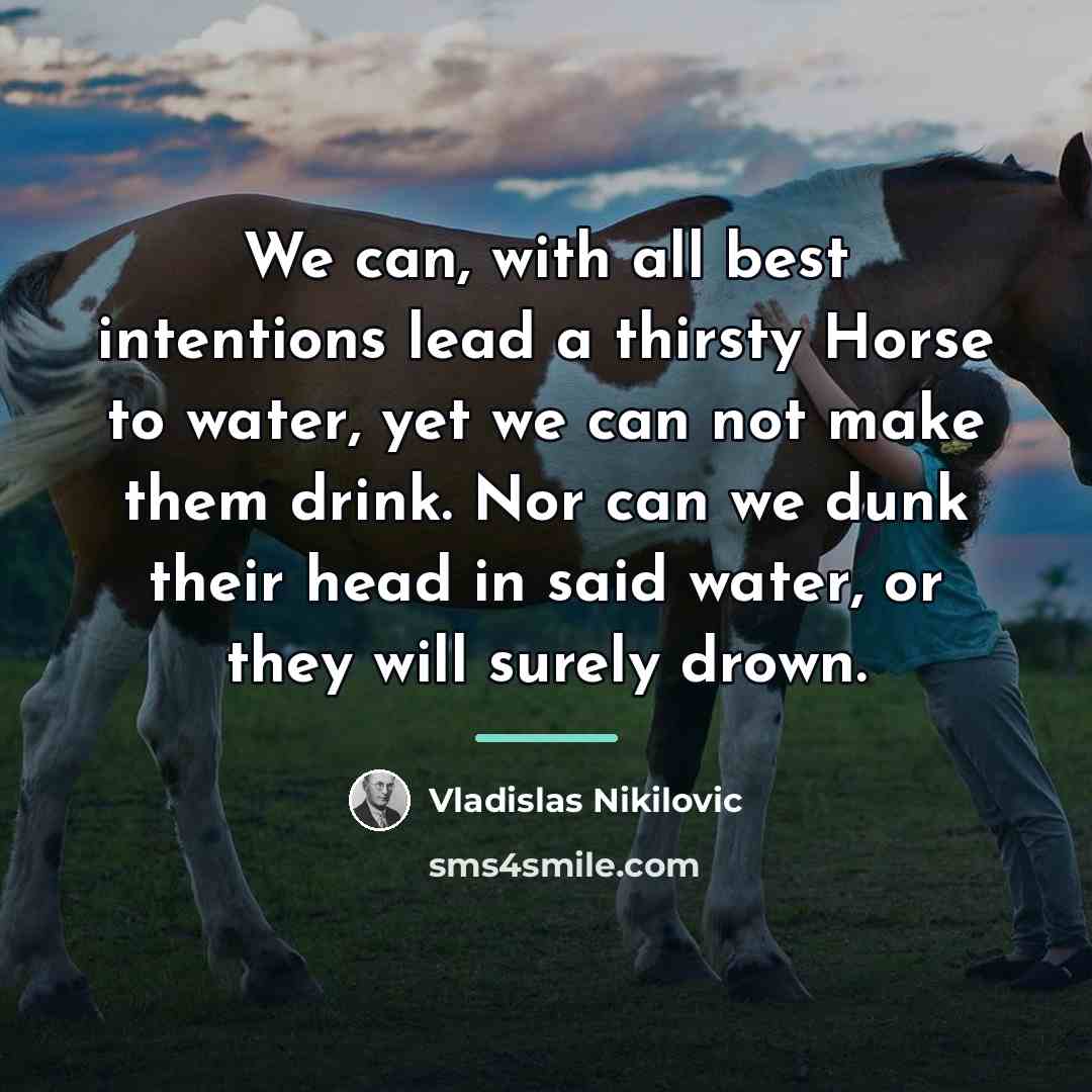 “We can, with all best intentions lead a thirsty Horse…” quote by Vladislas Nikilovic