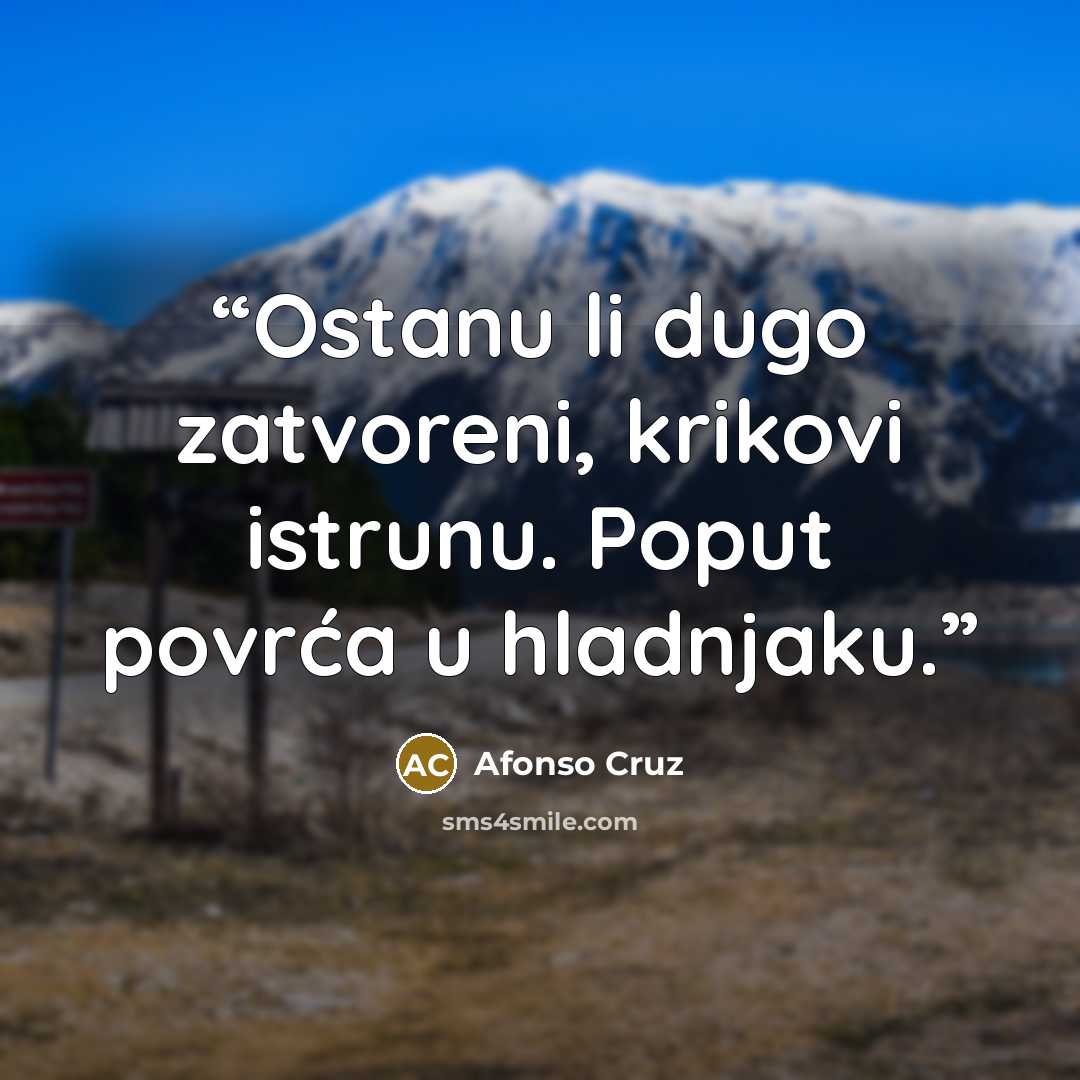 “Ostanu li dugo zatvoreni, krikovi istrunu. Poput povrća u hladnjaku.” quote by Afonso Cruz