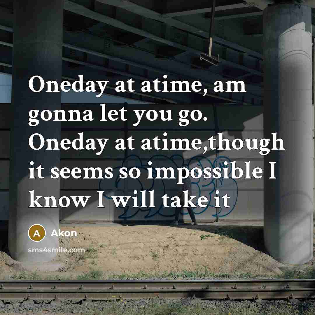 “Oneday at atime, am gonna let you go. Oneday at atime,though it seems so impossible I know I will take it” quote by Akon