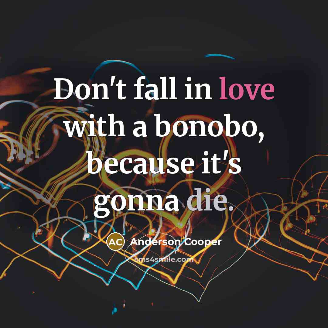 “Don't fall in love with a bonobo, because it's gonna…” quote by Anderson Cooper