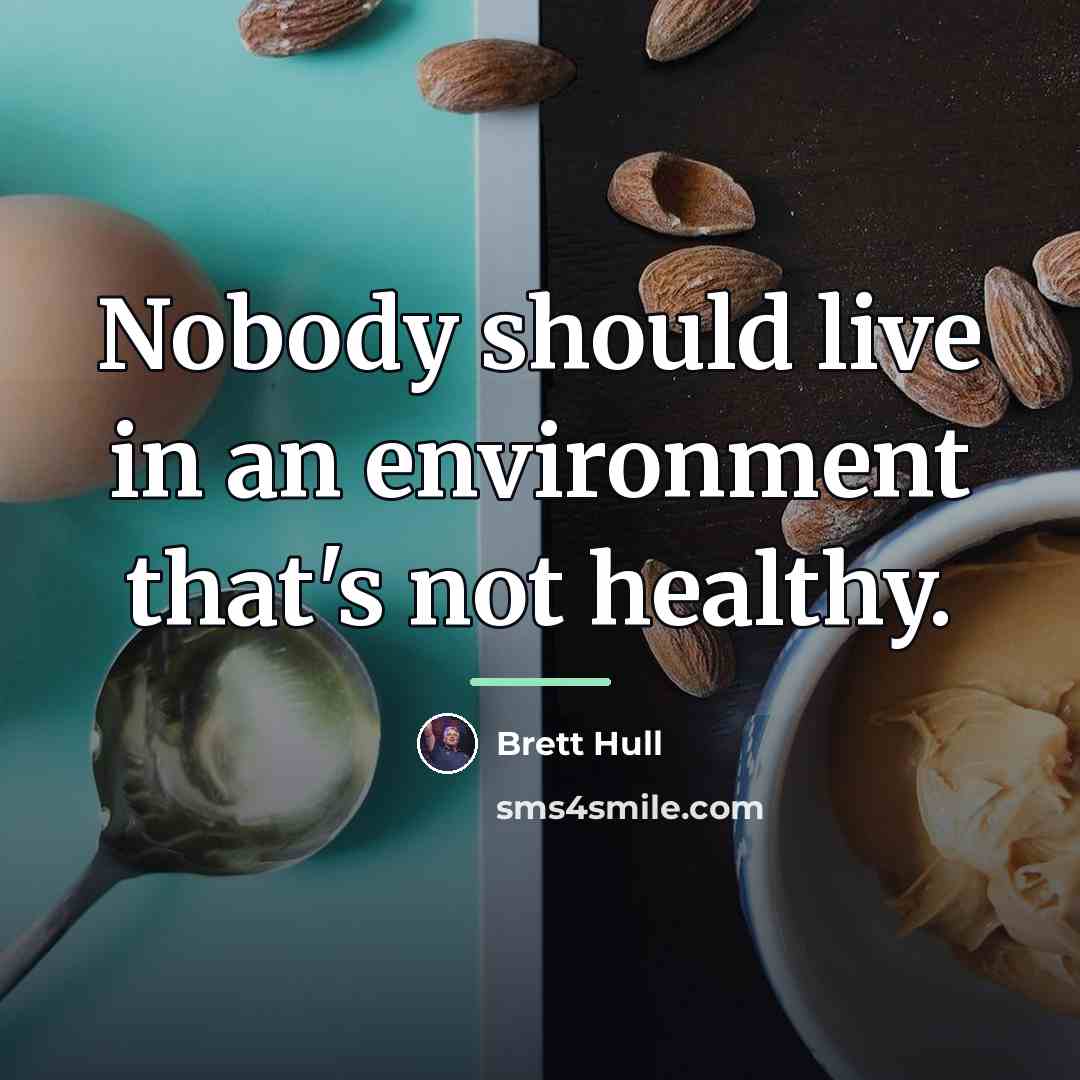 “Nobody should live in an environment that's not healthy.…” quote by Brett Hull