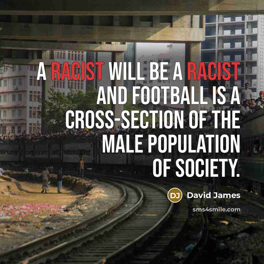 “A racist will be a racist and football is a…” quote by David James