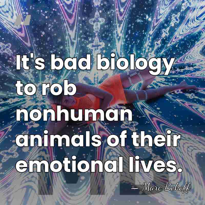 It's bad biology to rob nonhuman animals of their emotional lives. - Marc Bekoff