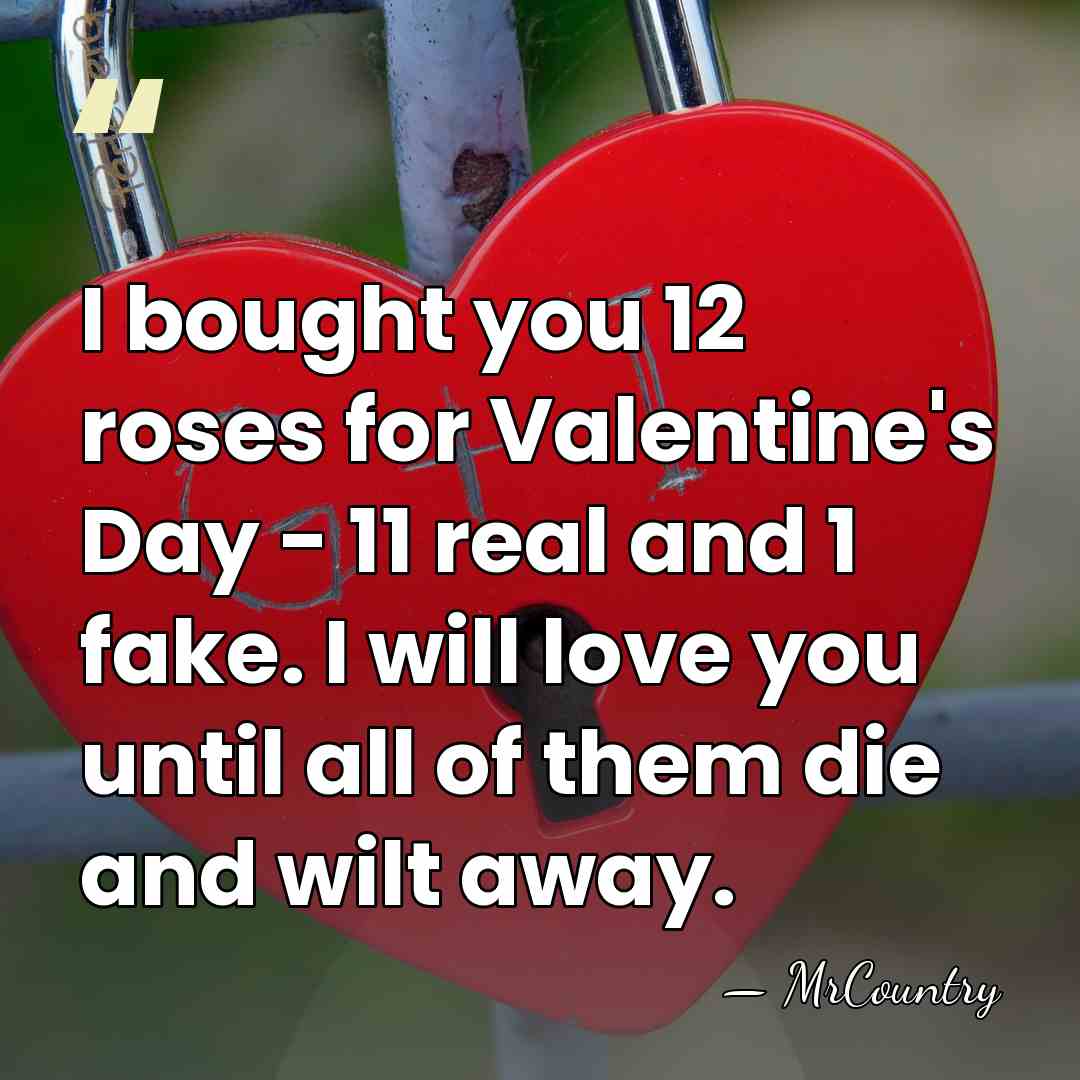 I bought you 12 roses for Valentine's Day - 11 real and&hellip; - MrCountry