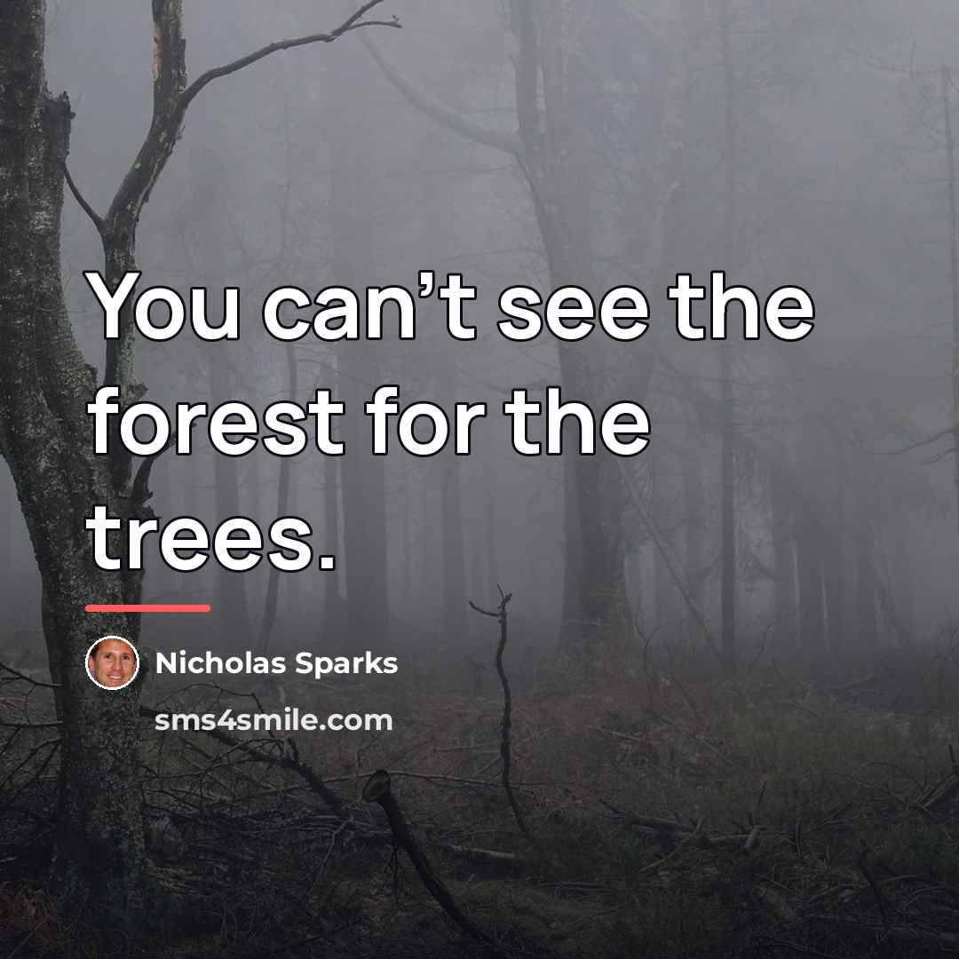 “You can't see the forest for the trees.…” quote by Nicholas Sparks