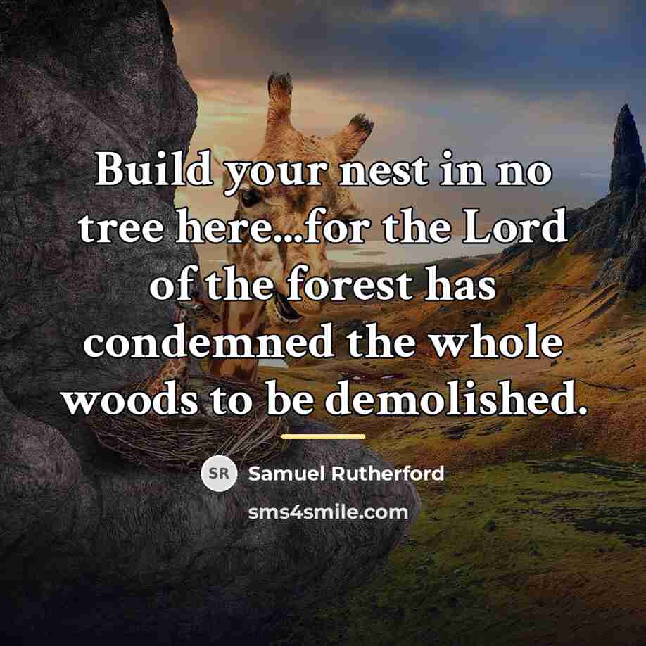 “Build your nest in no tree here...for the Lord of…” quote by Samuel Rutherford