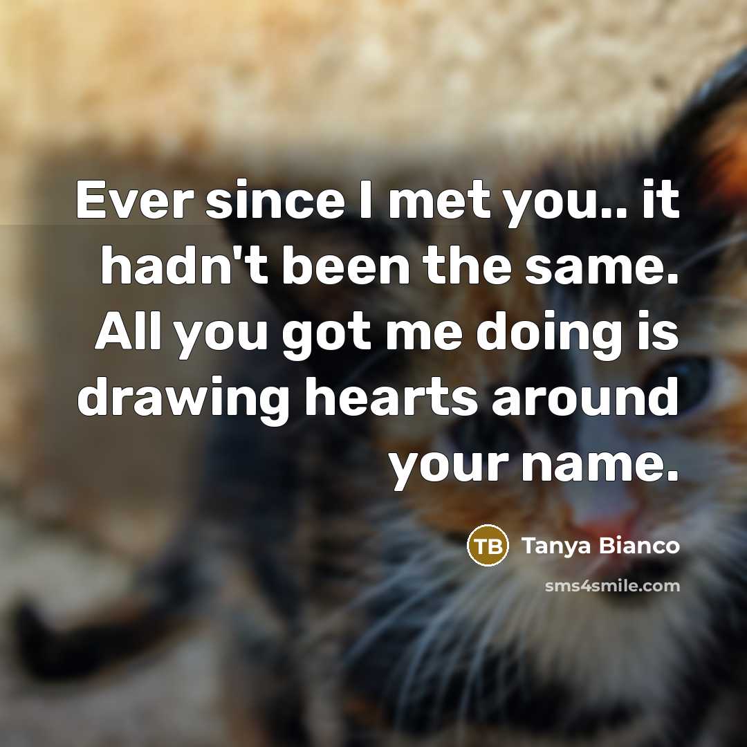 “Ever since I met you.. it hadn't been the same.…” quote by Tanya Bianco