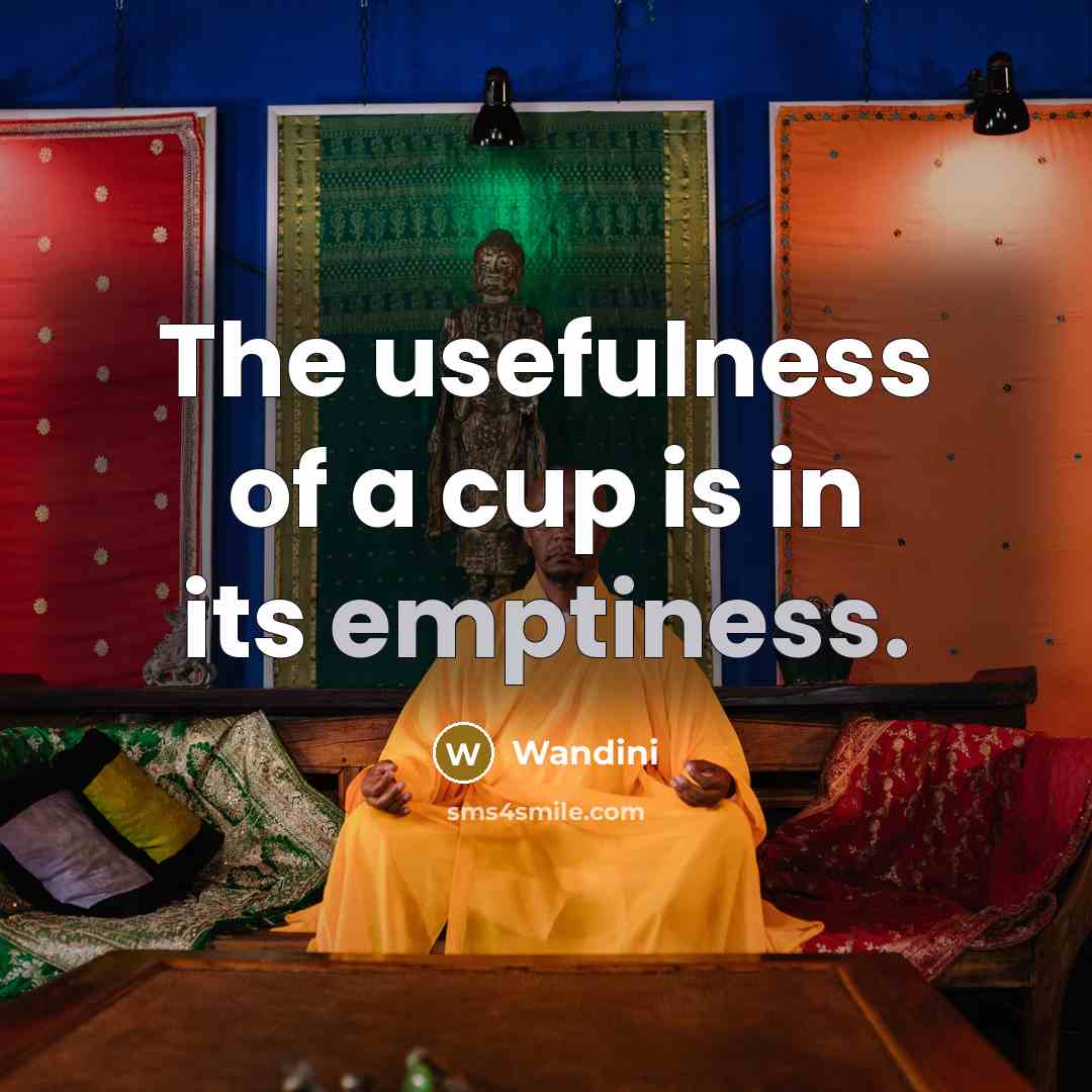 “The usefulness of a cup is in its emptiness.” quote by Wandini