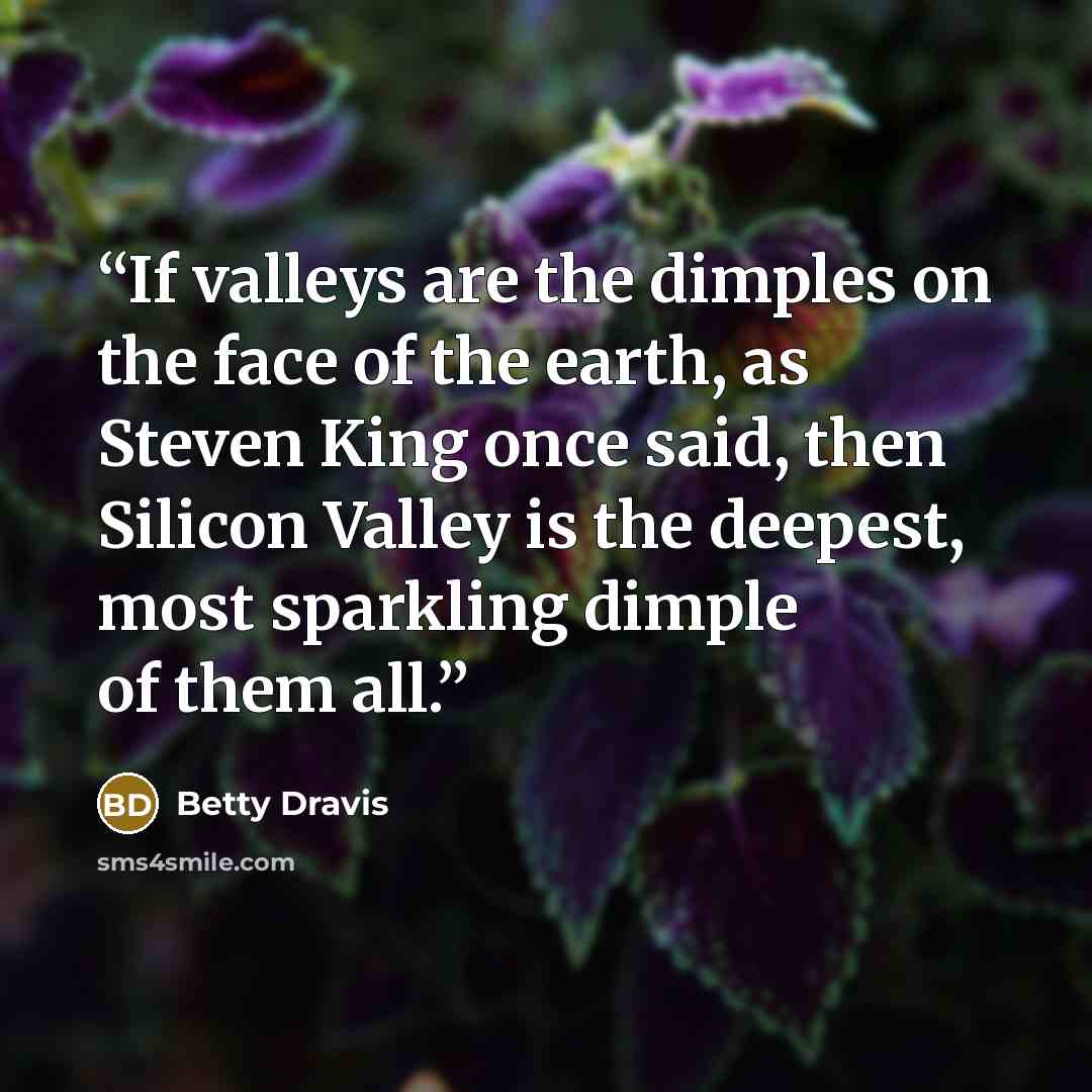 “If valleys are the dimples on the face of the earth, as Steven King once said, then Silicon Valley is the deepest, most sparkling dimple of them all.” quote by Betty Dravis