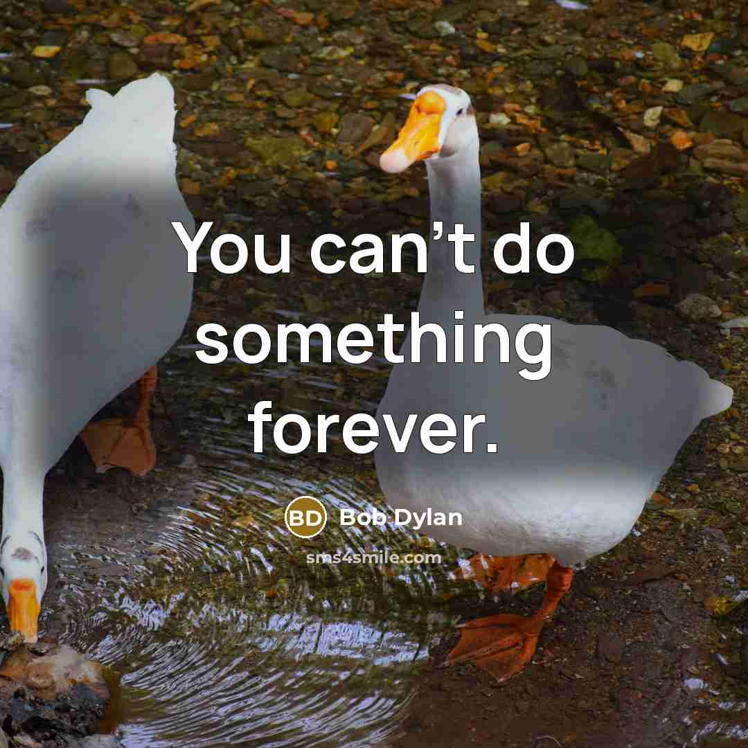 “You can't do something forever.…” quote by Bob Dylan