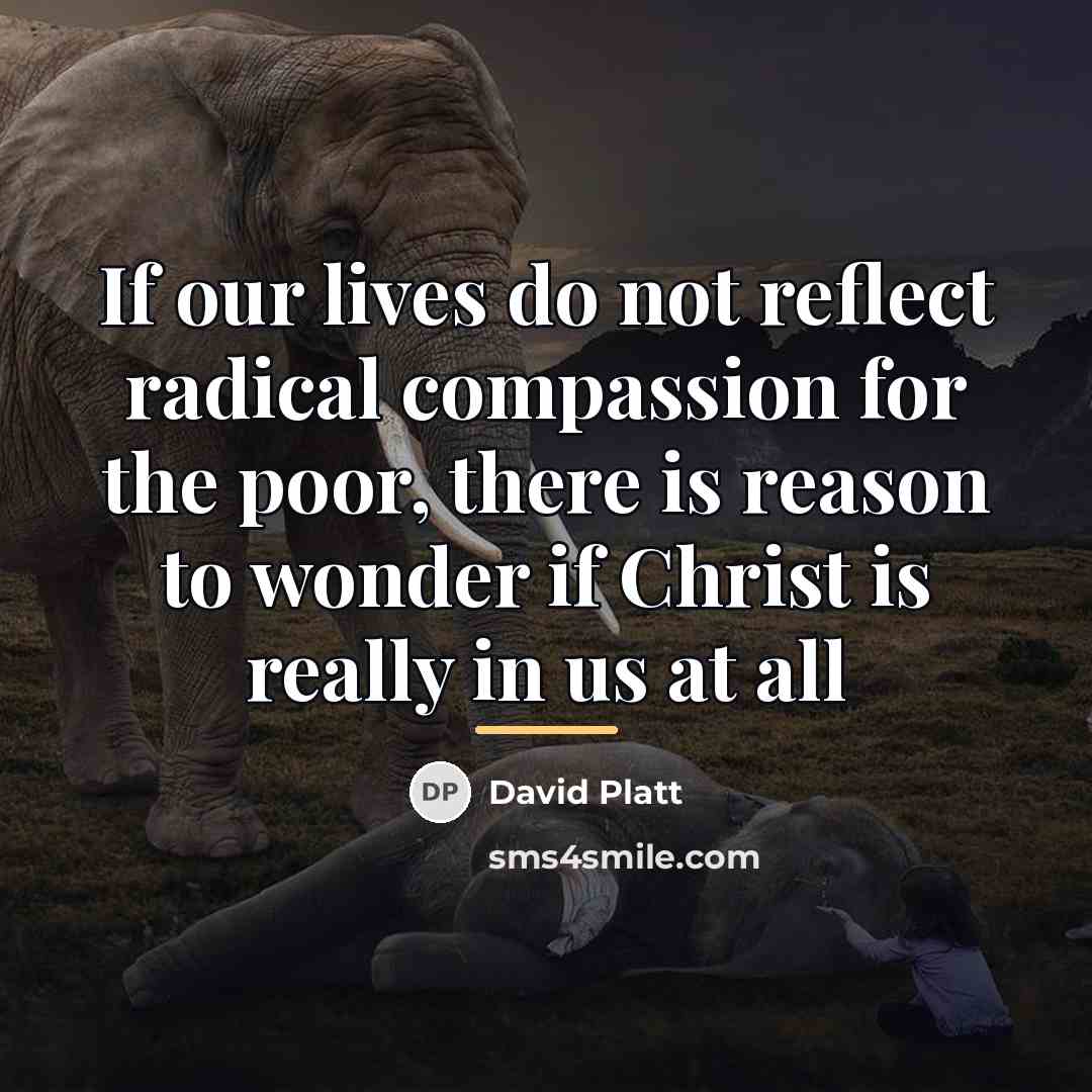 “If our lives do not reflect radical compassion for the…” quote by David Platt