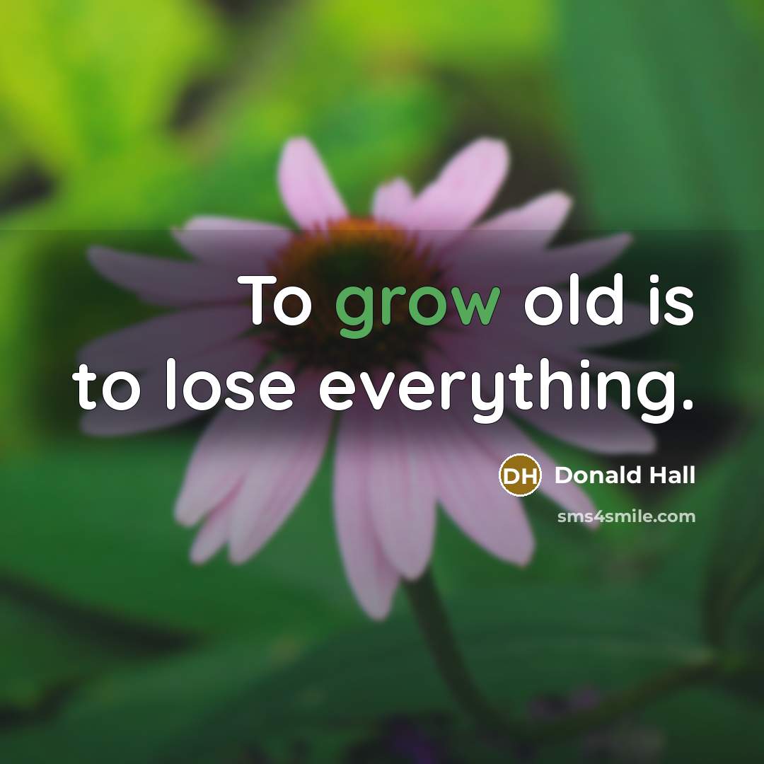 “To grow old is to lose everything.…” quote by Donald Hall