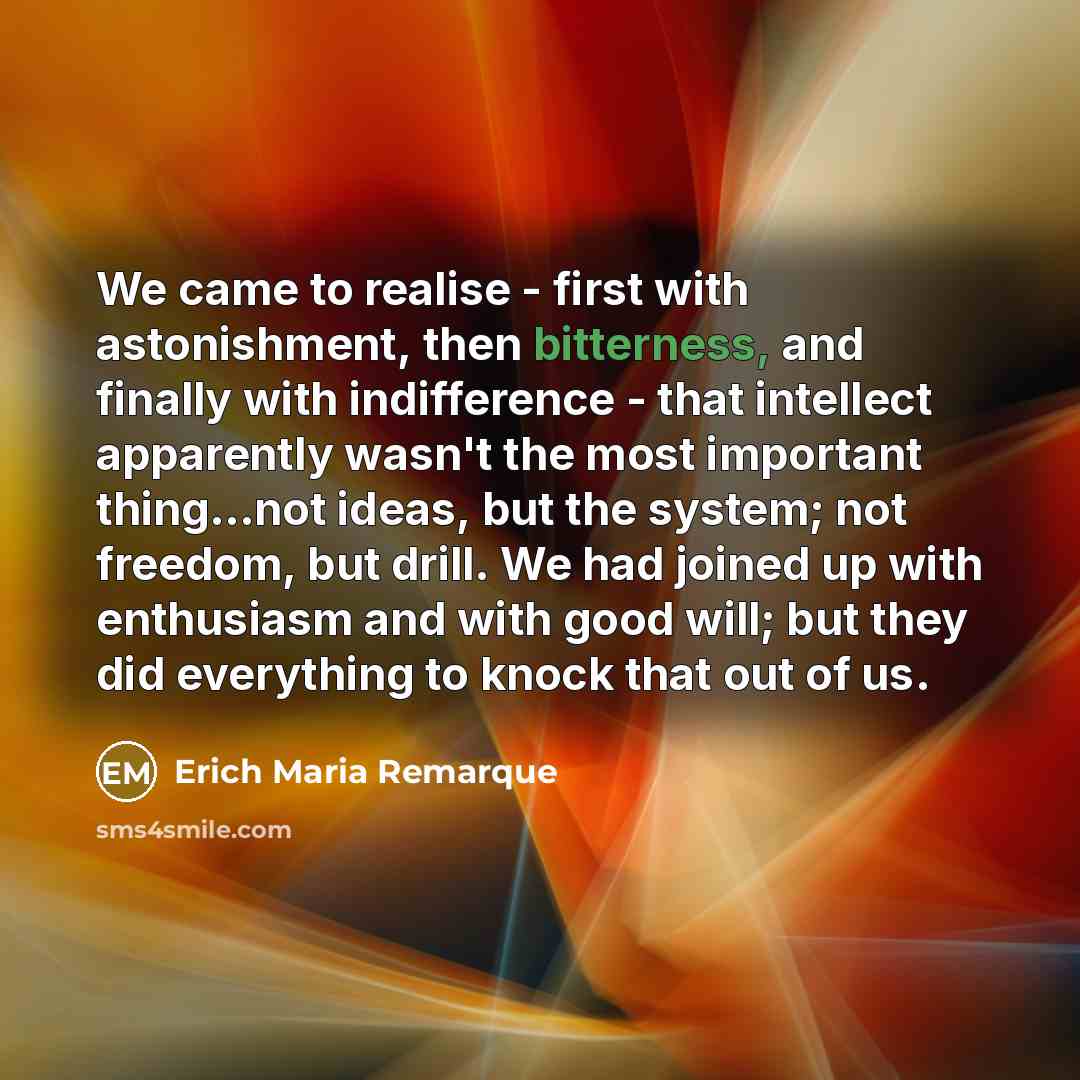 “We came to realise - first with astonishment, then bitterness,…” quote by Erich Maria Remarque