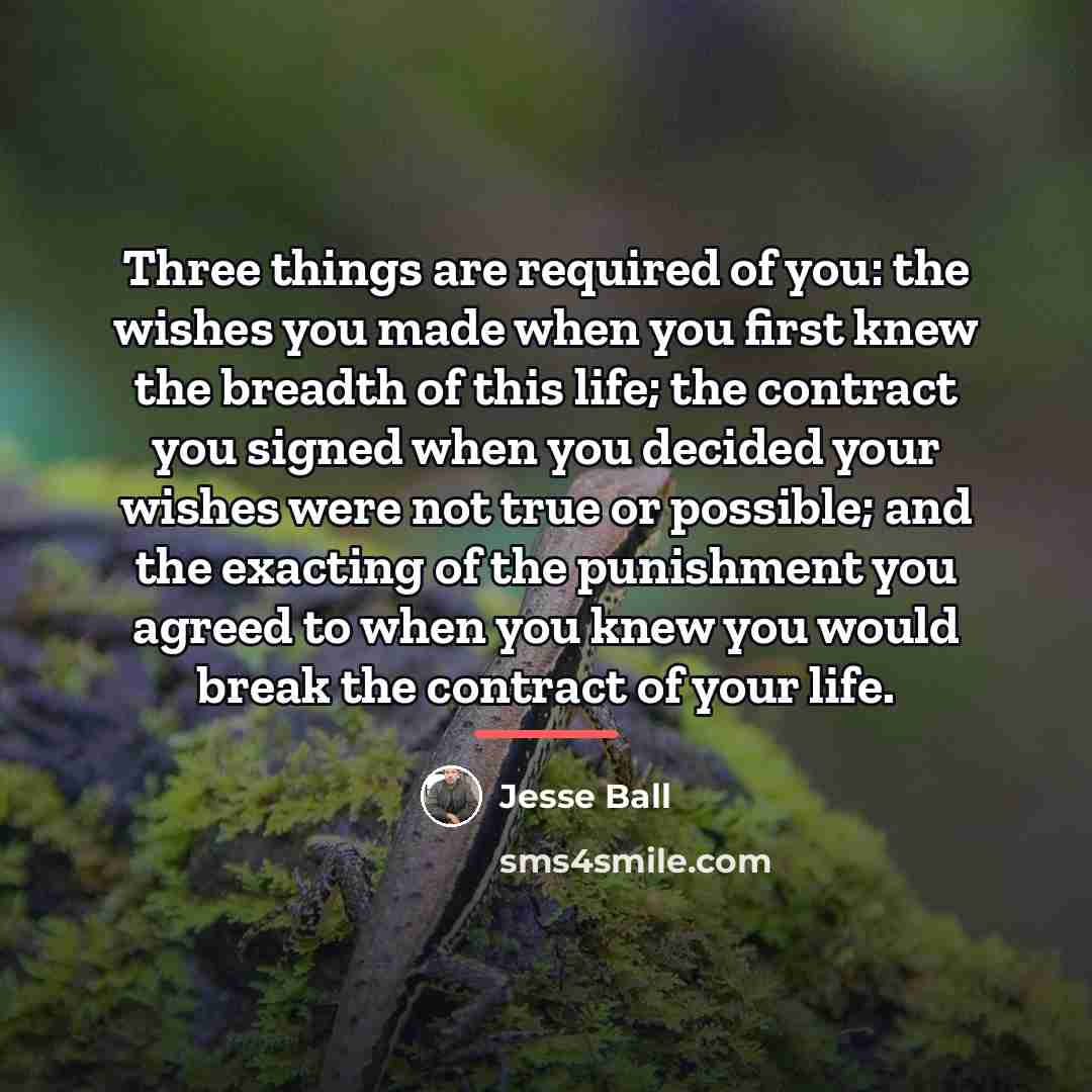“Three things are required of you: the wishes you made…” quote by Jesse Ball