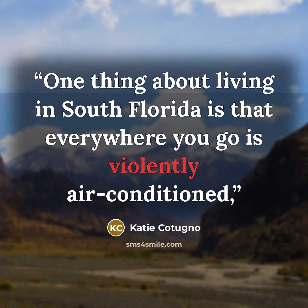 “One thing about living in South Florida is that everywhere you go is violently air-conditioned,” quote by Katie Cotugno