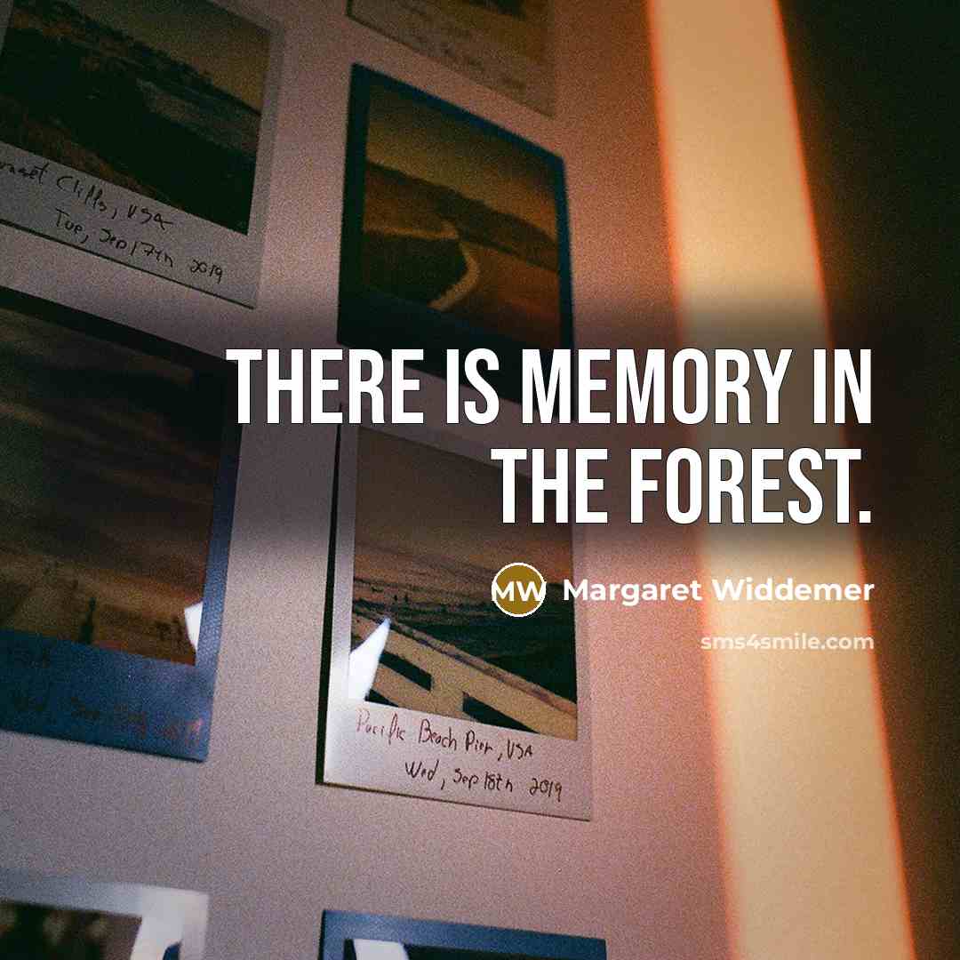 “There is memory in the forest.…” quote by Margaret Widdemer