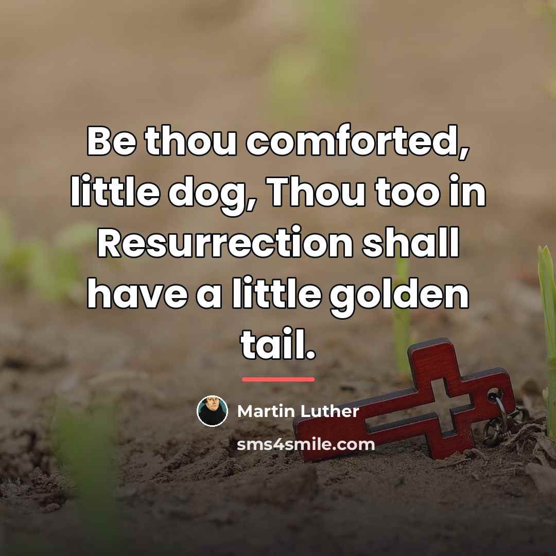 “Be thou comforted, little dog, Thou too in Resurrection shall…” quote by Martin Luther