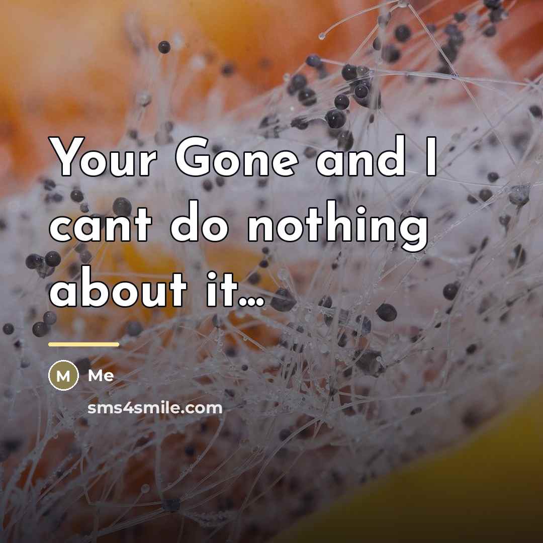 “Your Gone and I cant do nothing about it...…” quote by Me