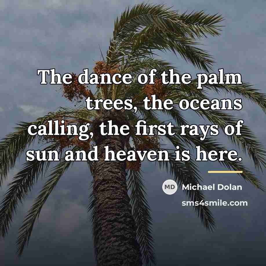 “The dance of the palm trees, the oceans calling, the…” quote by Michael Dolan