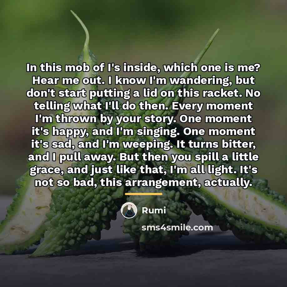 “In this mob of I's inside, which one is me?…” quote by Rumi