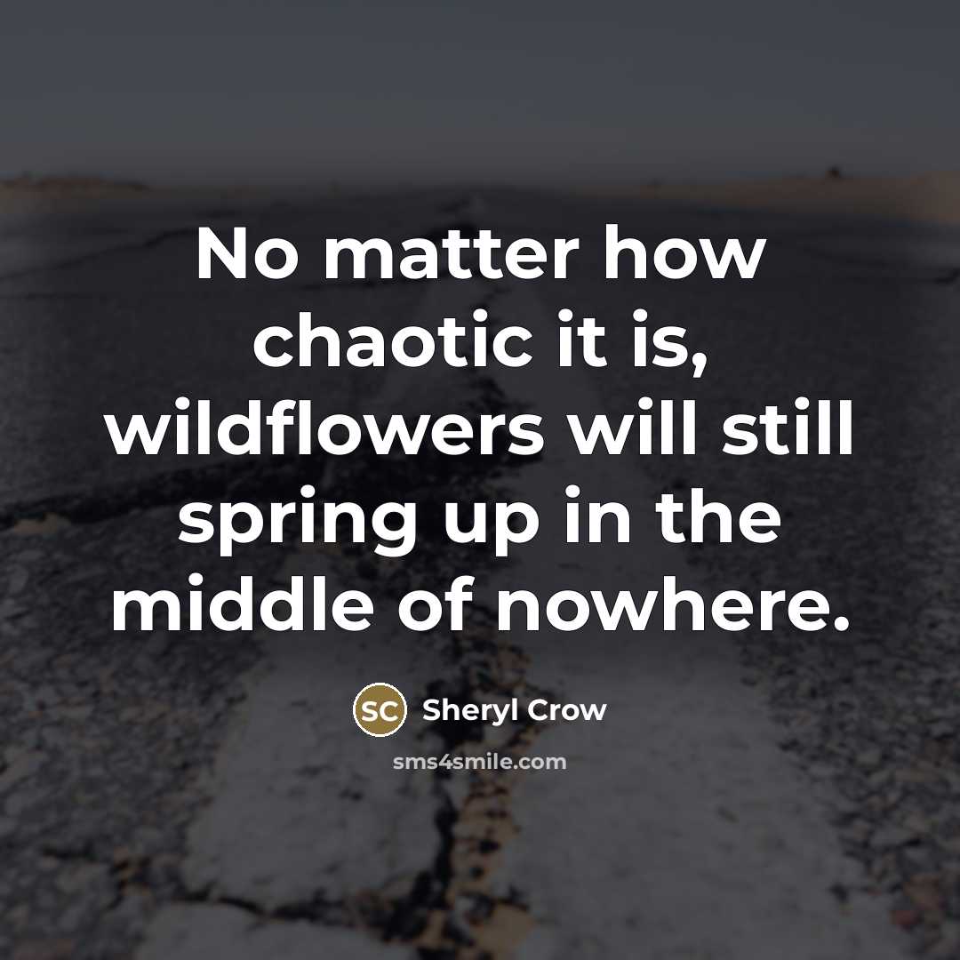 “No matter how chaotic it is, wildflowers will still spring…” quote by Sheryl Crow