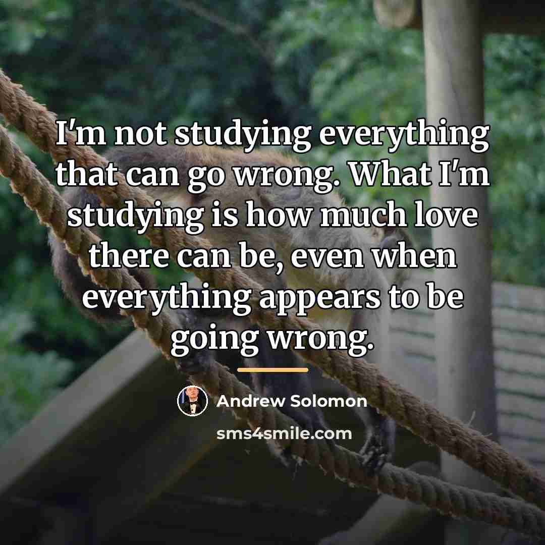 “I'm not studying everything that can go wrong. What I'm…” quote by Andrew Solomon