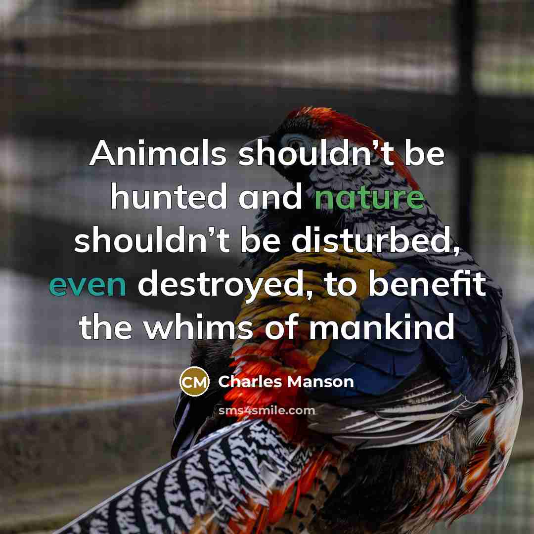 “Animals shouldn’t be hunted and nature shouldn’t be disturbed, even…” quote by Charles Manson