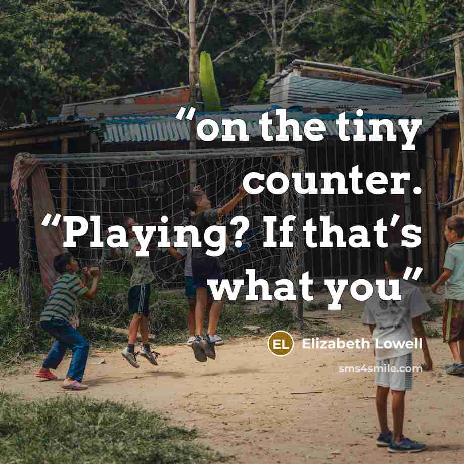 “on the tiny counter. “Playing? If that’s what you” quote by Elizabeth Lowell