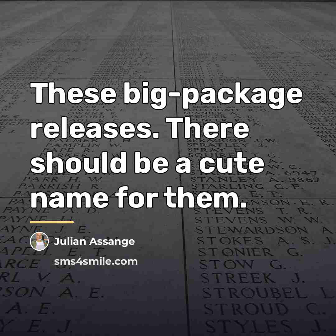 “These big-package releases. There should be a cute name for…” quote by Julian Assange