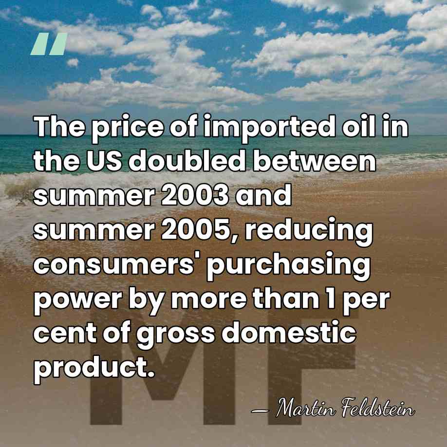 The price of imported oil in the US doubled between summer 2003&hellip; - Martin Feldstein