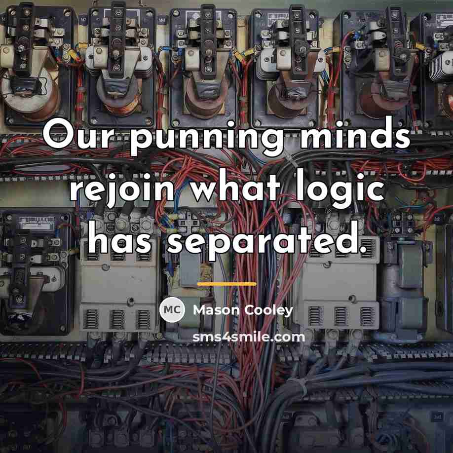 “Our punning minds rejoin what logic has separated.…” quote by Mason Cooley