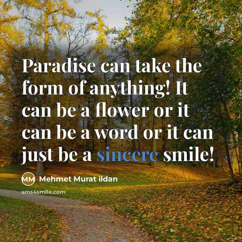 “Paradise can take the form of anything! It can be…” quote by Mehmet Murat Ildan