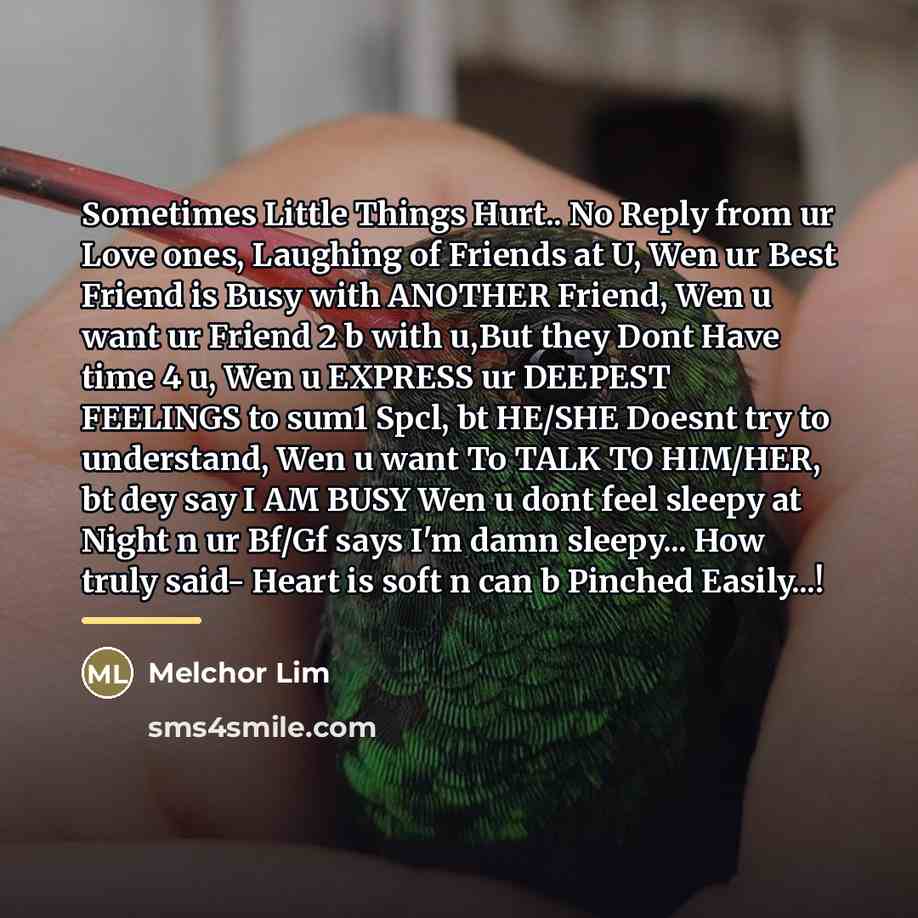 “Sometimes Little Things Hurt.. No Reply from ur Love ones,…” quote by Melchor Lim