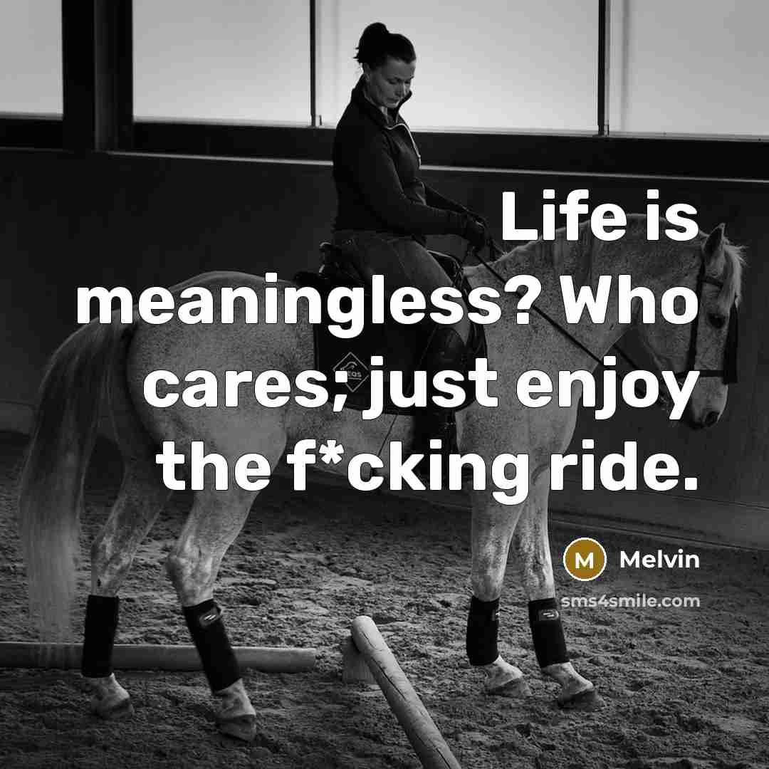 “Life is meaningless? Who cares; just enjoy the f*cking ride.…” quote by Melvin