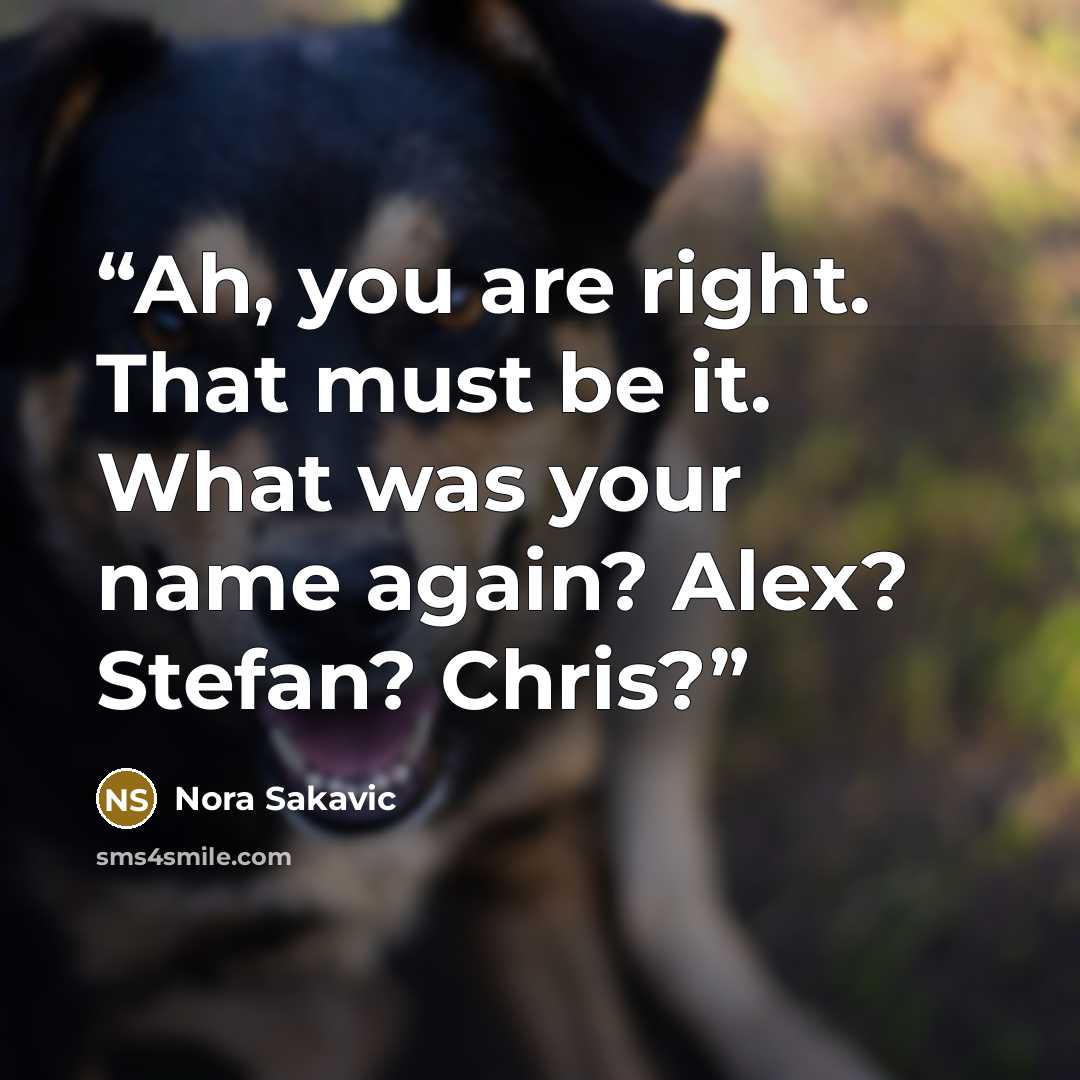 “Ah, you are right. That must be it. What was your name again? Alex? Stefan? Chris?” quote by Nora Sakavic