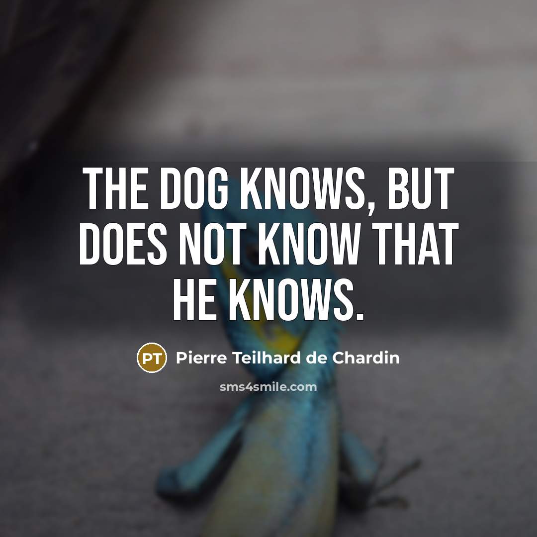 “The dog knows, but does not know that he knows.” quote by Pierre Teilhard de Chardin