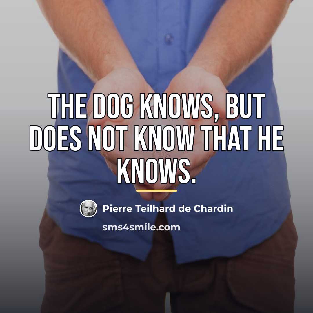“The dog knows, but does not know that he knows.…” quote by Pierre Teilhard de Chardin