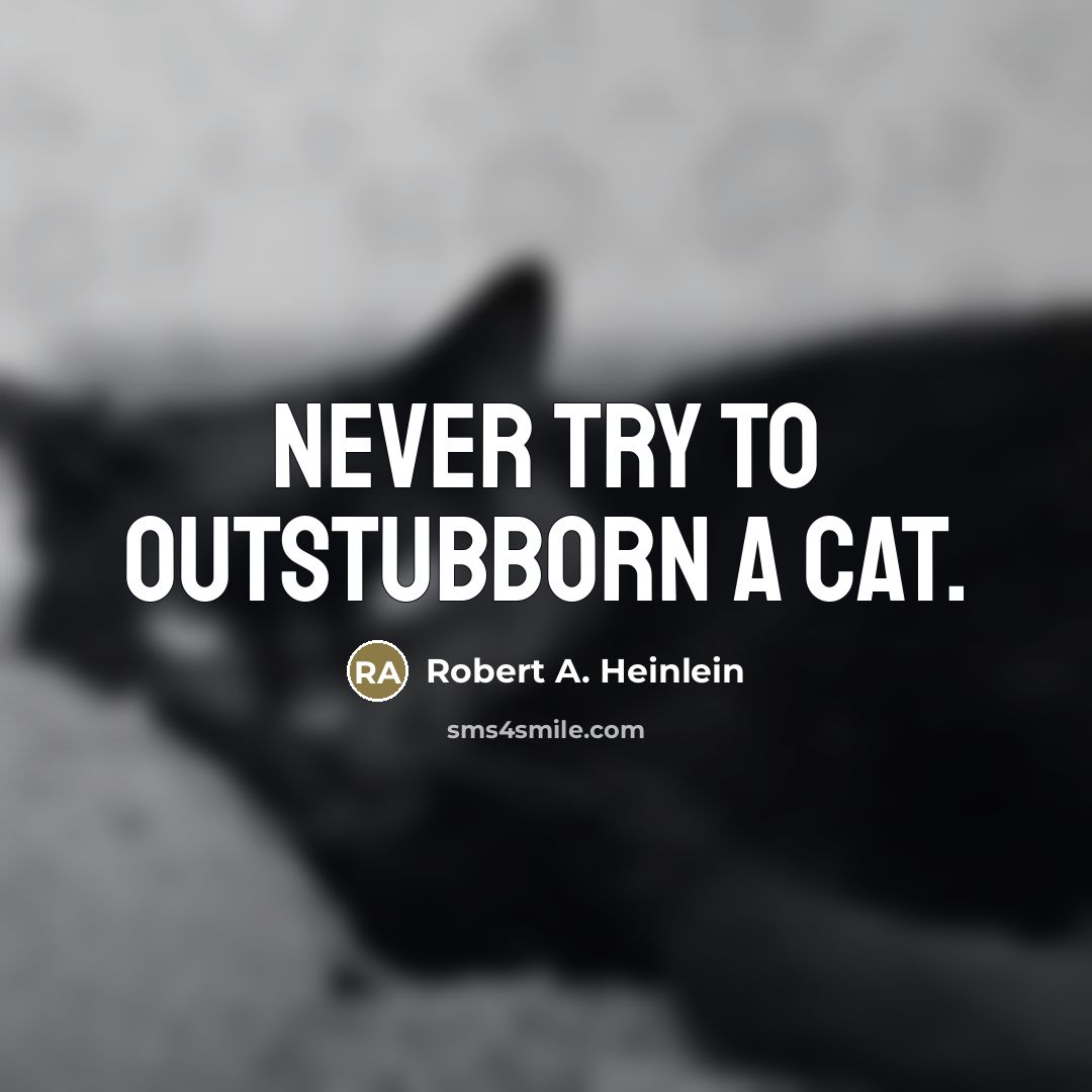 “Never try to outstubborn a cat.…” quote by Robert A. Heinlein