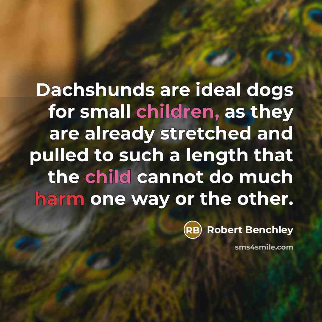 “Dachshunds are ideal dogs for small children, as they are already stretched and pulled to such a length that the child cannot do much harm one way or the other.” quote by Robert Benchley