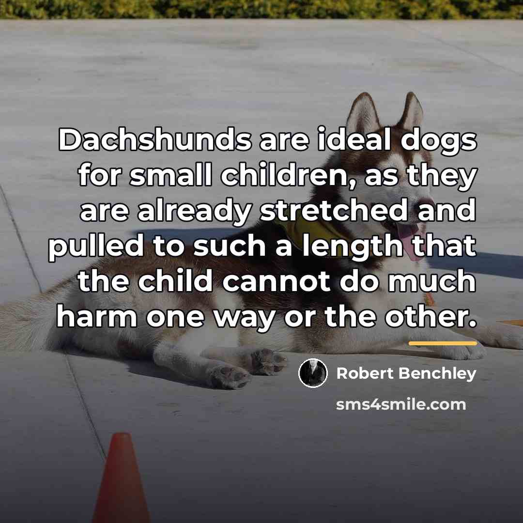 “Dachshunds are ideal dogs for small children, as they are…” quote by Robert Benchley