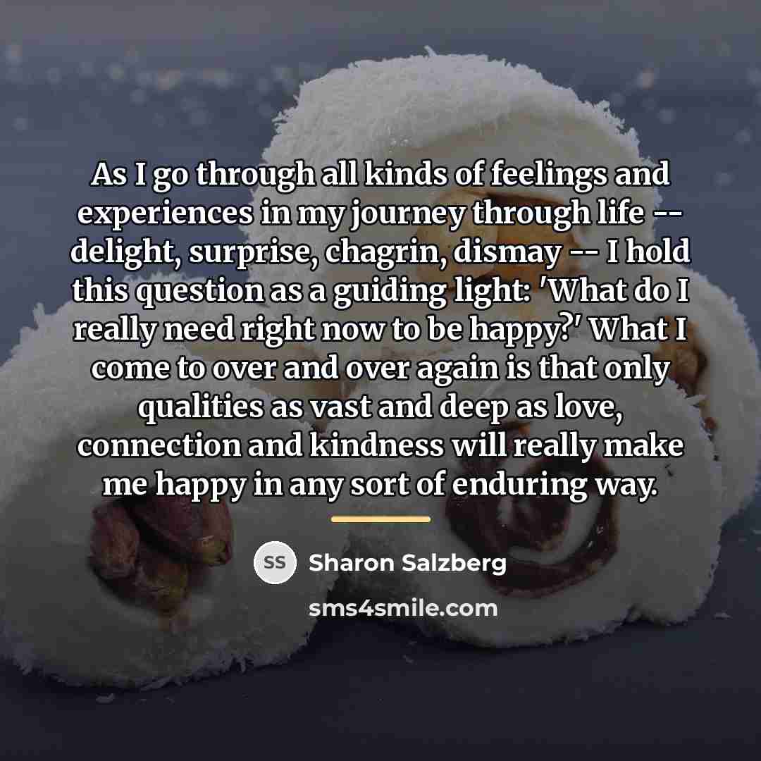 “As I go through all kinds of feelings and experiences…” quote by Sharon Salzberg