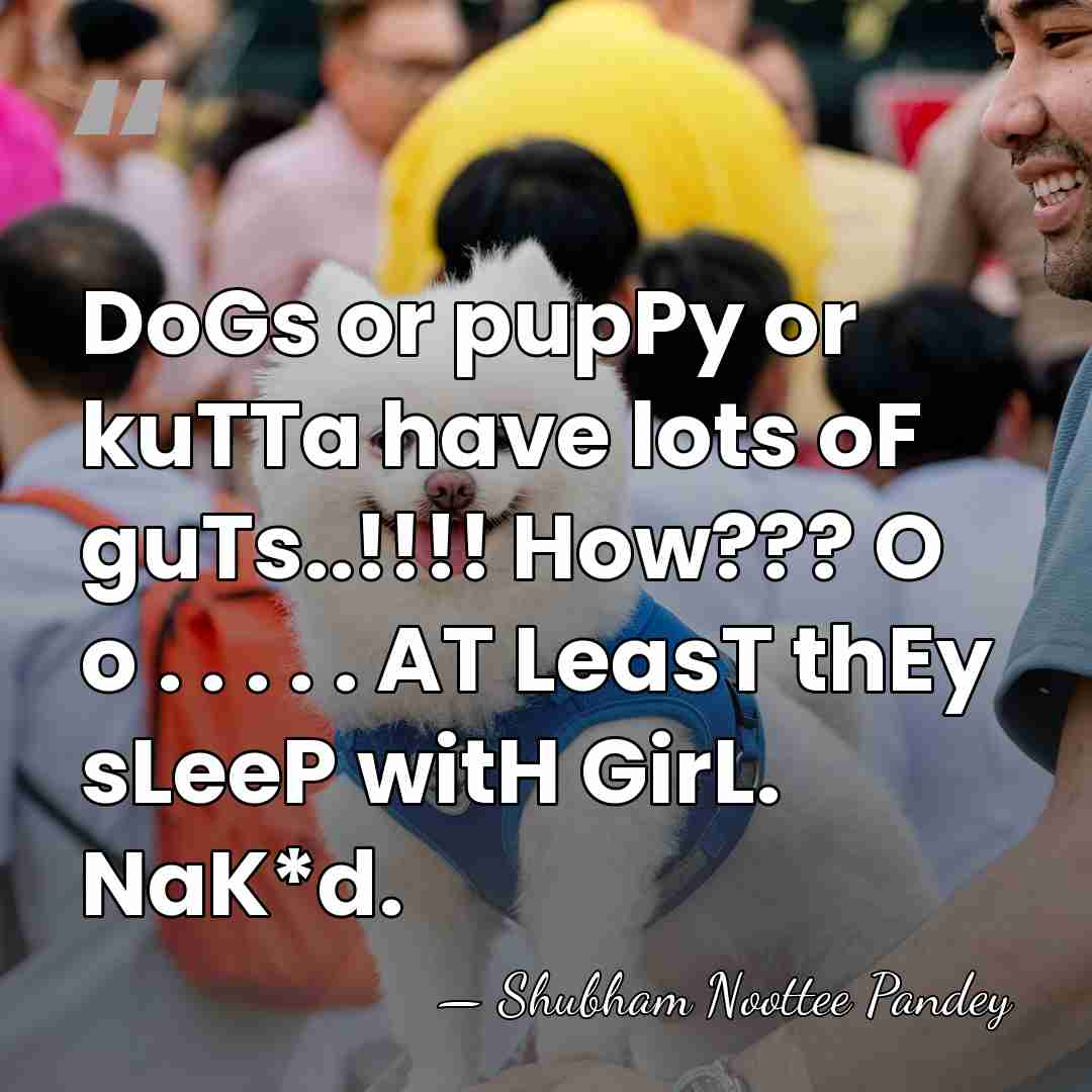 DoGs or pupPy or kuTTa have lots oF guTs..!!!! How??? O o&hellip; - Shubham Noottee Pandey