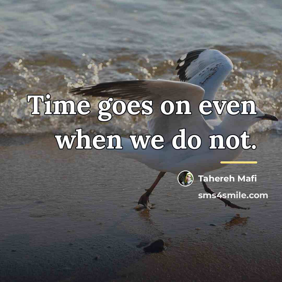 “Time goes on even when we do not.…” quote by Tahereh Mafi