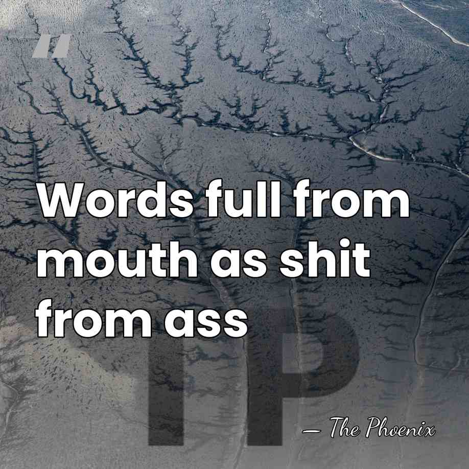 Words full from mouth as shit from ass - The Phoenix
