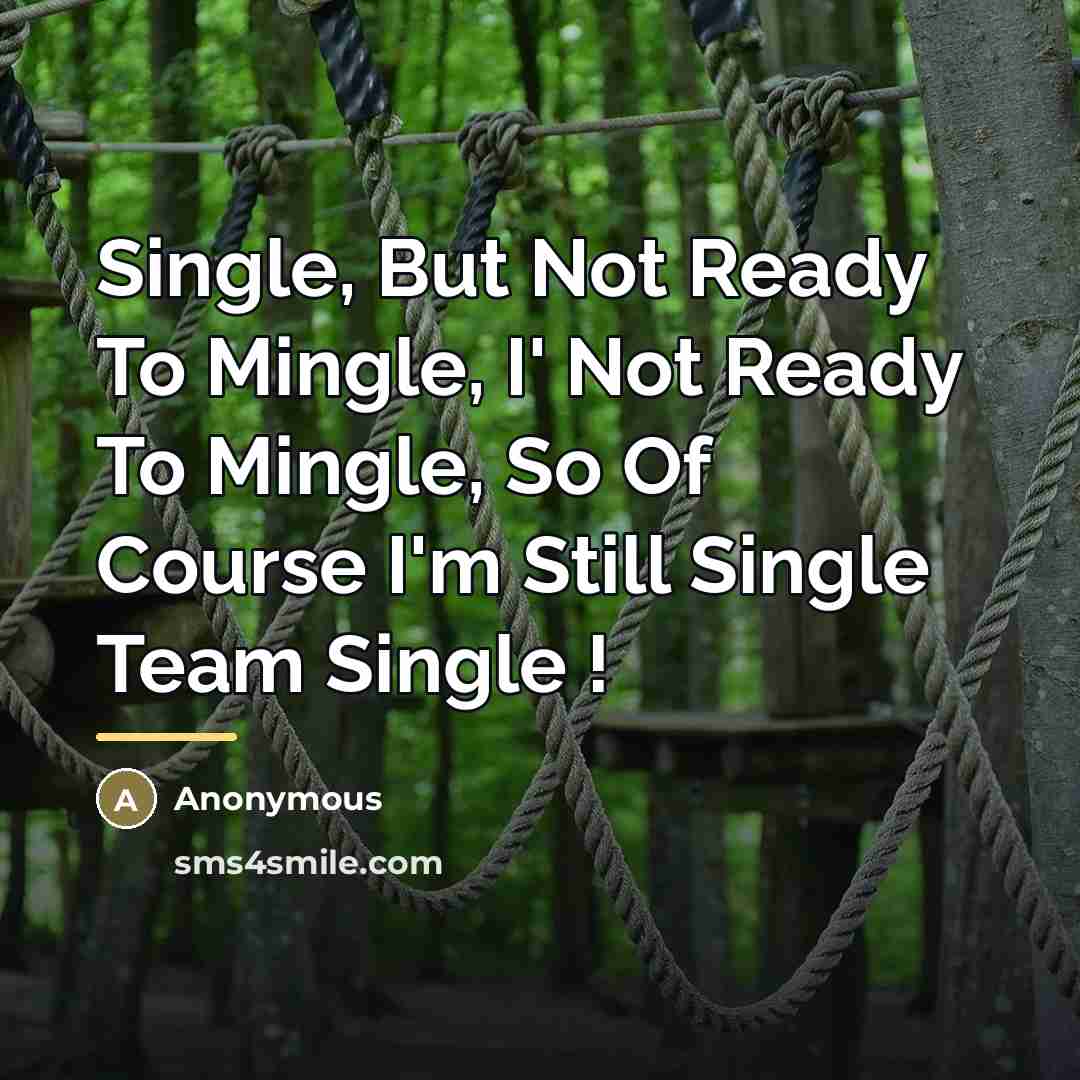 “Single, But Not Ready To Mingle, I' Not Ready To…” quote by Anonymous