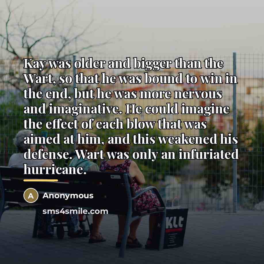 “Kay was older and bigger than the Wart, so that…” quote by Anonymous