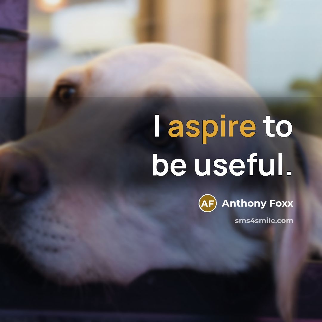 “I aspire to be useful.…” quote by Anthony Foxx