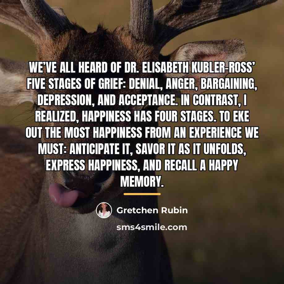 “We’ve all heard of Dr. Elisabeth Kubler-Ross’ five stages of…” quote by Gretchen Rubin