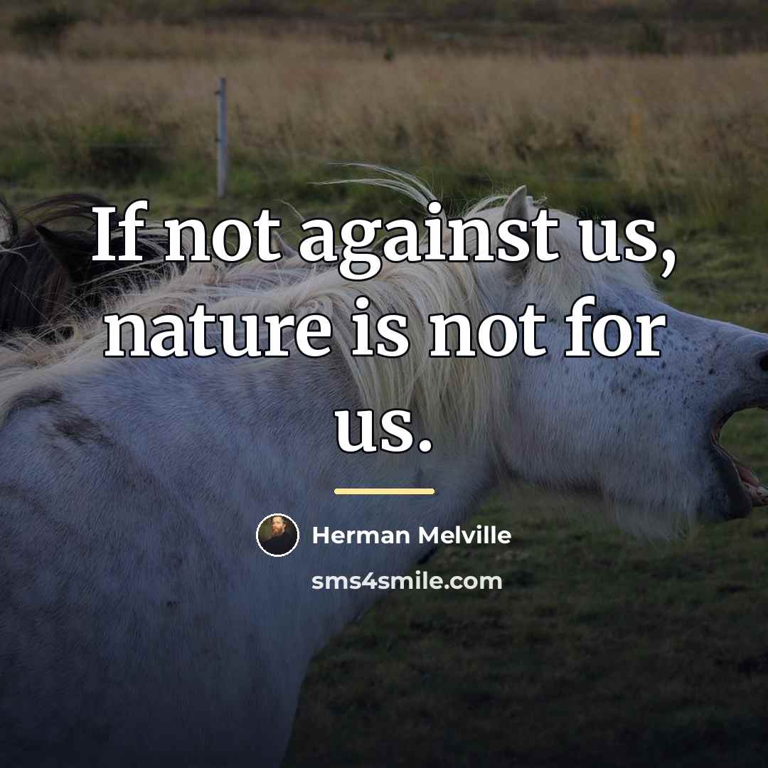 “If not against us, nature is not for us.…” quote by Herman Melville