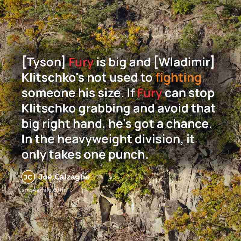 “[Tyson] Fury is big and [Wladimir] Klitschko's not used to…” quote by Joe Calzaghe
